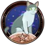 Ícone do troféu O Miaulhor Guia da Lua